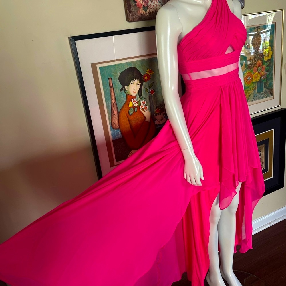 Pink Gown - Picture 6 of 6